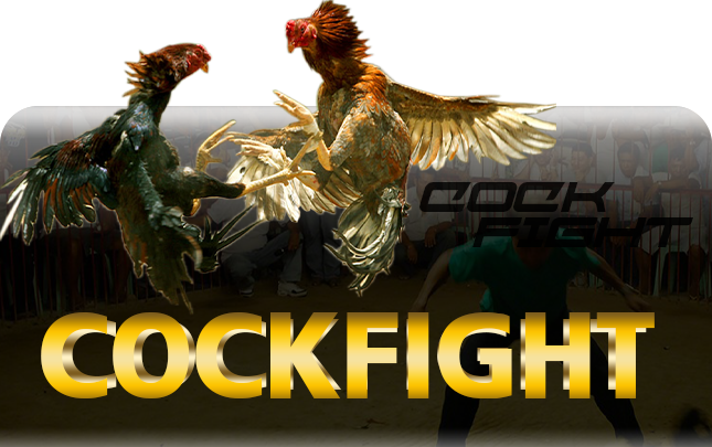 banner_cockfight_games-MB